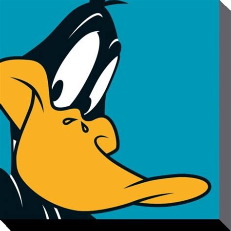 Looney Tunes Daffy Duck Canvas Print 40 X 40 Cm Looney Tunes