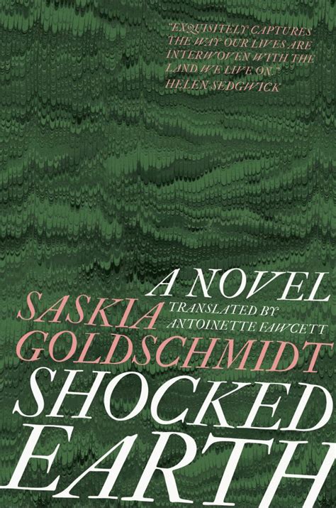 Review Shocked Earth By Saskia Goldschmidt Translating Women