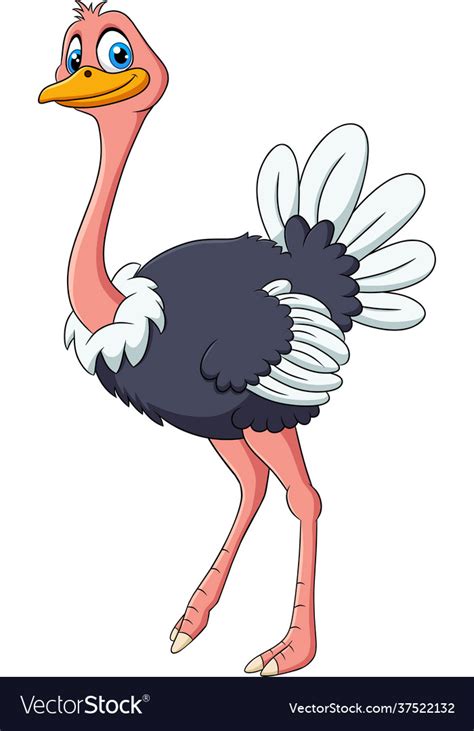 Cute Ostrich Animal Cartoon Royalty Free Vector Image