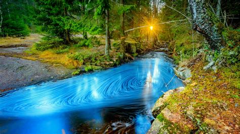 Wallpaper Id 179256 Forest Stream Glow Sunlight Beautiful Creek