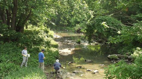 Understanding Urban Watersheds Lter