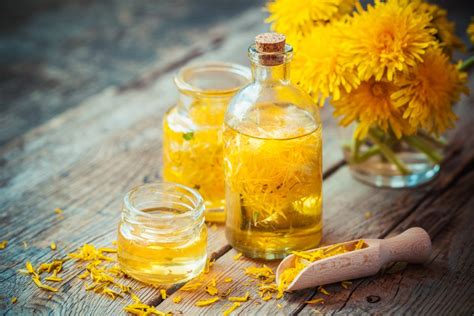 How To Make Your Own Herbal Infused Oil Good Decisions