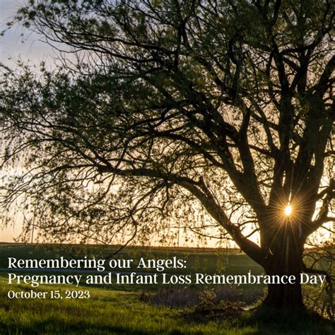 October 15 Pregnancy And Infant Loss Remembrance Day Koch Funer