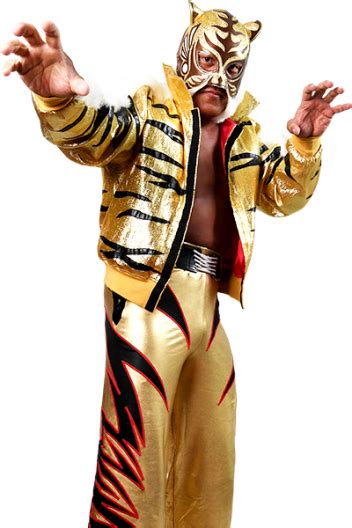 Tiger Mask New Japan Pro Wrestling