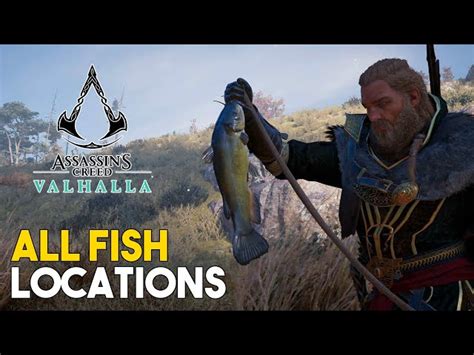 Assassin S Creed Valhalla Bullhead Trout Additionally If You Do Not