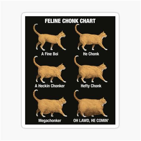 Feline Conk Chart Funny Chonk Cat Meme Sticker For Sale By