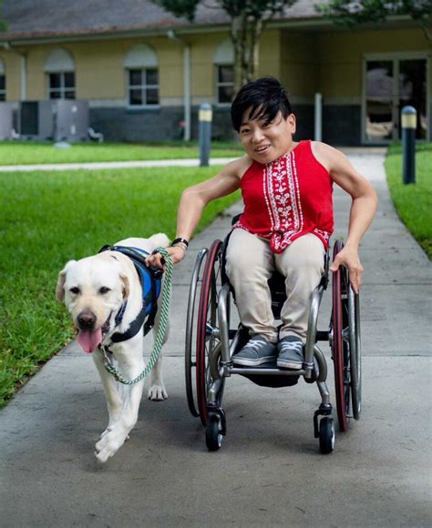 Know The Differences Service Dogs Emotional Support Animals And More
