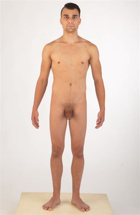Nude Male Anatomy 71 Pics Xhamster