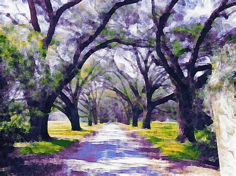 Live Oak Tree Entry By Patricia Greer America Art Live Oak Trees