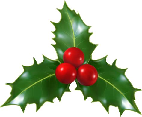 Transparent Holly Berries Png Transparent Holly Clipart Full Size