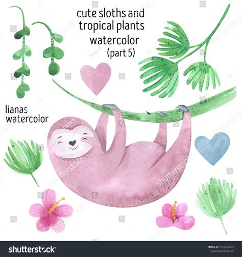 Watercolor Cute Sloths Tropical Leaves Set Stock Illustration