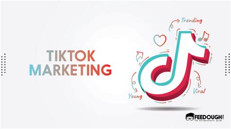 Tiktok Marketing An Actionable Guide Feedough