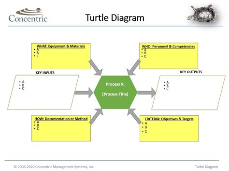 Instructions For Creating A Turtle Diagram Concentric Global