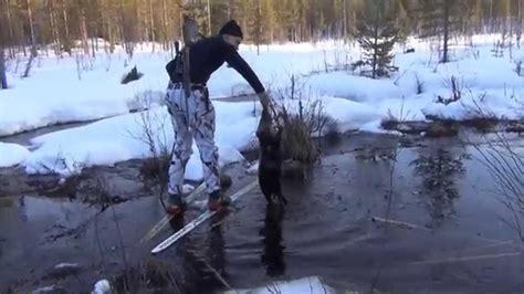 Majavan metsästys beaver hunting 2015 jakso 1 YouTube