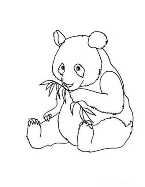 Cute Baby Panda Coloring Pages For Kids Disney Coloring Pages
