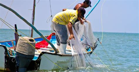 Inicia Temporada De Pesca De Camarón En El Océano Pacífico Indice