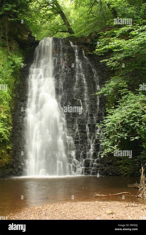 Falling Foss Waterfall North York Moors National Park Stock Photo Alamy