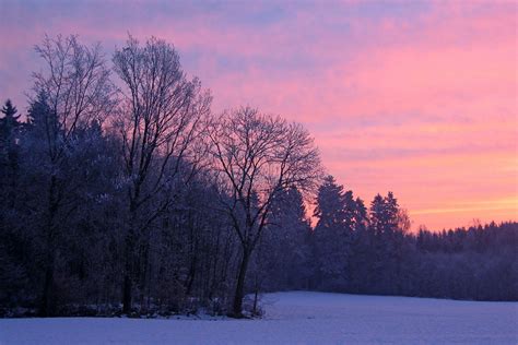 Fotos Gratis árbol Naturaleza Rama Nieve Invierno Nube Amanecer