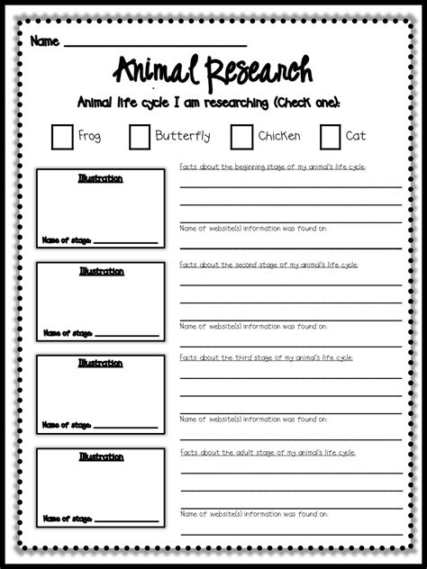 Research Graphic Organizer Printable
