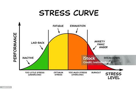 Stress Curve Graph With Different Stages Stock Illustration Download
