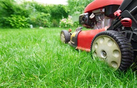How Early Can I Mow My Lawn On Sunday Updated May 2023