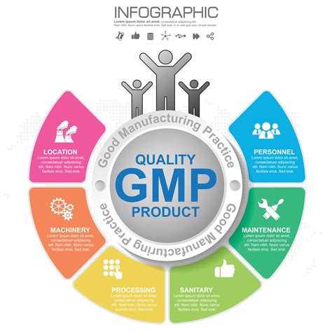 Gmp Good Manufacturing Practice 6 Heading Of Infographic Template With