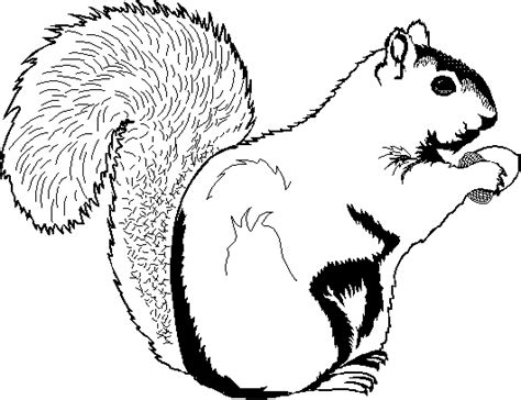 Squirrel and a bird coloring page from squirrels category. Squirrel Coloring Pages