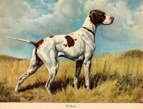 1942 Antique Pointer Print Wall Art Decor Hunting Dog Art Etsy Dog