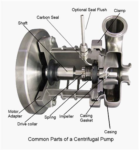 6 Main Parts Of Centrifugal Pumps Linquip