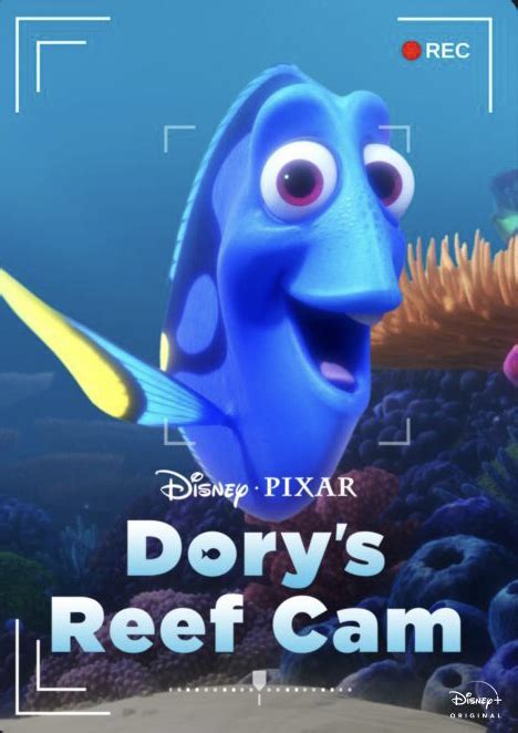 Dorys Reef Cam 2020