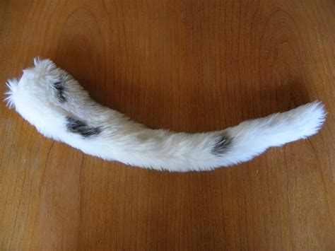Calico Cat Ears Paws And Tail By Thedancingpeasant On Etsy