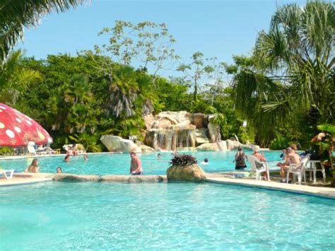 Awesome Pool Picture Of Bacab Eco Park Belize District Tripadvisor