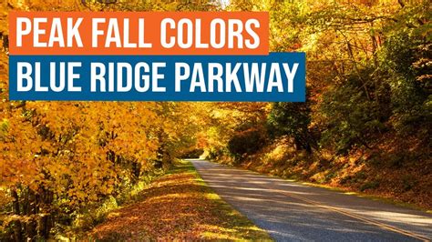 Peak Fall Colors On The Blue Ridge Parkway In Nc Youtube