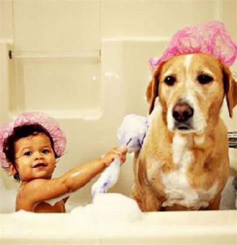 32 Animals Taking Baths That Are Almost Too Cute To Handle Page 20 Of