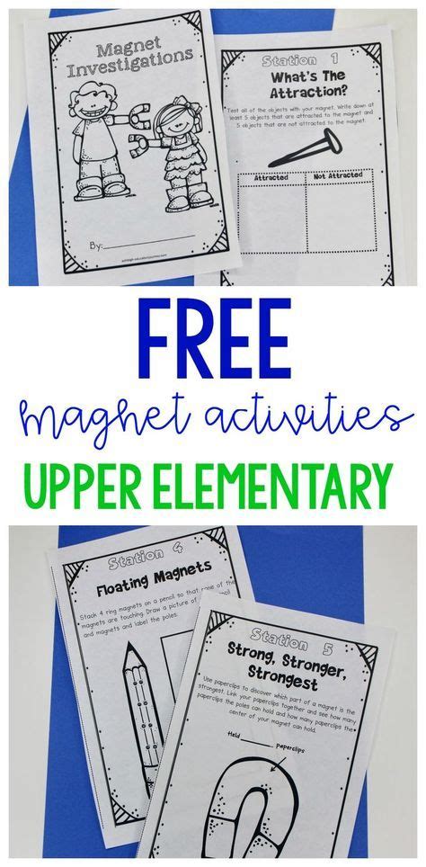 For added fun, color the flowers and hang. Magnet Activities | Third grade science, Elementary education activities, 4th grade science lessons