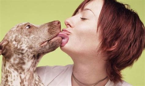 Vet Explains Why You Should Never Let A Dog Lick Your Face Everything