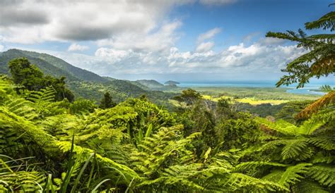 Australia Places To Visit Daintree Rainforest Tropical Great Barrier