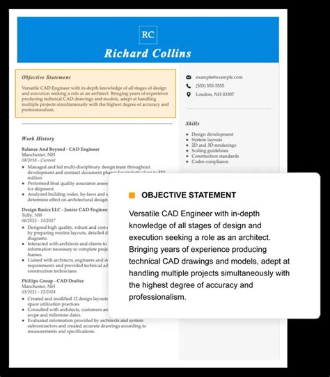 Professional Resume Objective Examples Guide
