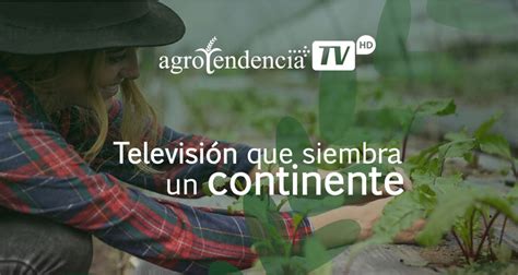 Agrotendencia Tv Alianzas Regionales Y Digitalización Prensario Zone