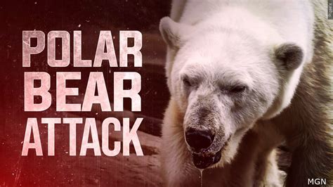 Polar Bear Attack Victims Young Mother And 1 Year Old Son 41nbc News
