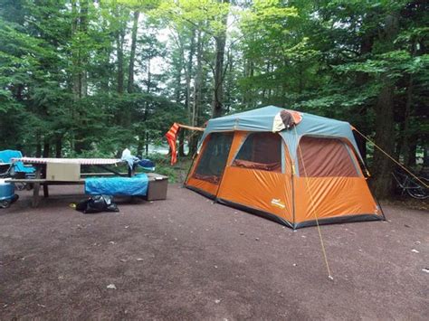 Campsite Picture Of Ricketts Glen State Park Campground Benton