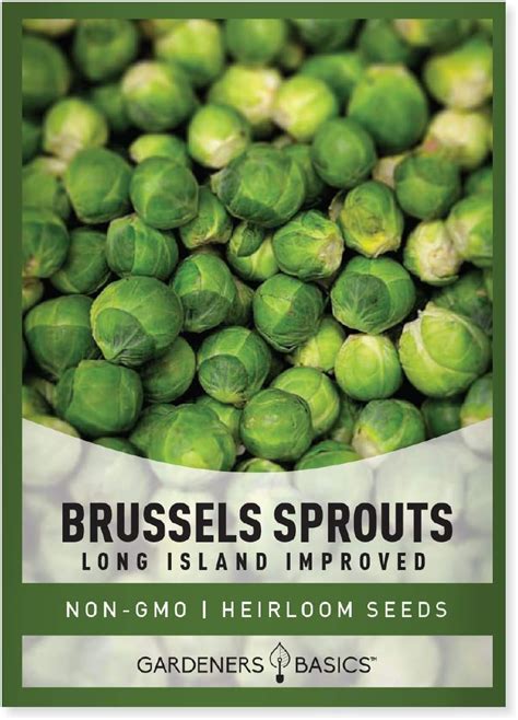 How To Grow Brussels Sprouts From Seeds Gardening Dream