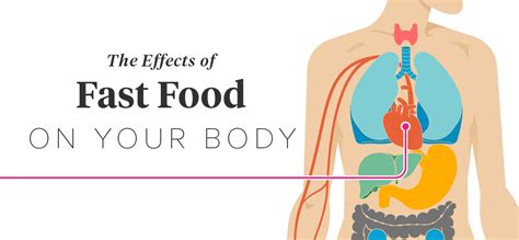 the effects of fast food on the body part 2 olomoinfo