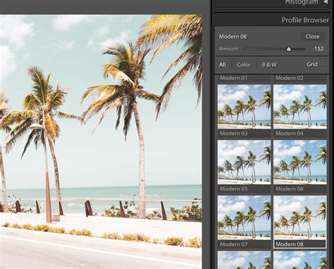 Overview Of The New Creative Profiles Feature In Lightroom Classic Cc