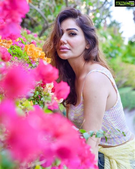 Kangna Sharma Instagram Love Is The Flower You Have Got To Let Grow ️💐💐 Gethu Cinema
