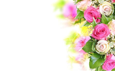 Wallpaper Roses Flowers Composition Tenderness White Background