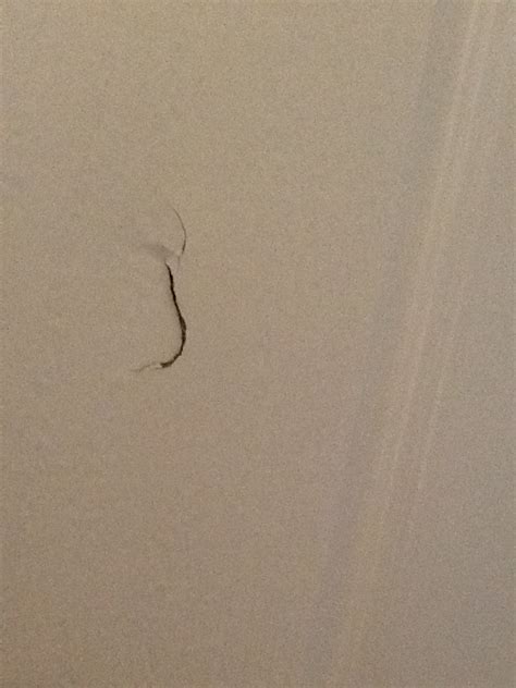 The methods we mention in this article don't need you to. repair - I have a light dent in my wooden door, what is ...