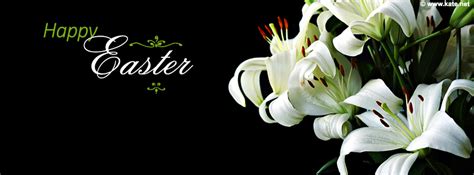 Free Download Easter Lily Wallpaper Happy Easter Lilies 851x315 For