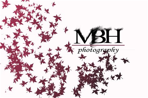 Mbh Photography Flickr