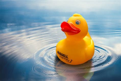 Rubber Ducky On Water 12x8 Russell Lands Russell Lands